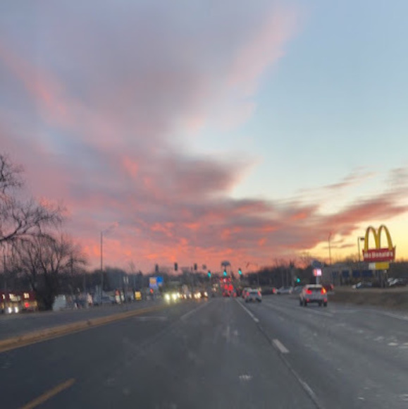 Meet your Posher, Paisly - Picture 1 of 1